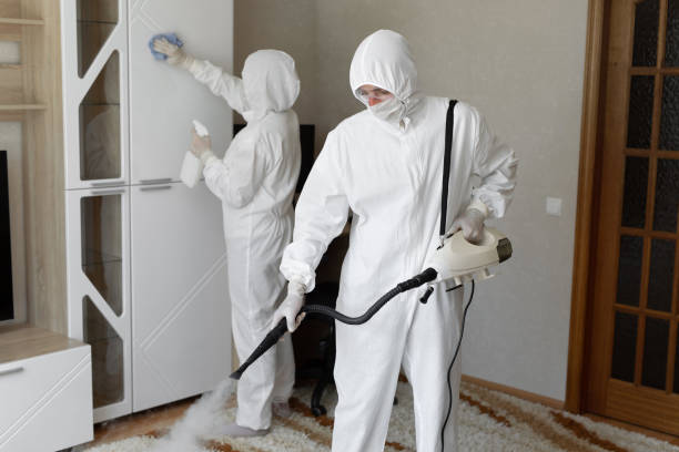 24/7 Emergency Odor Removal experts in Sussex, NJ
